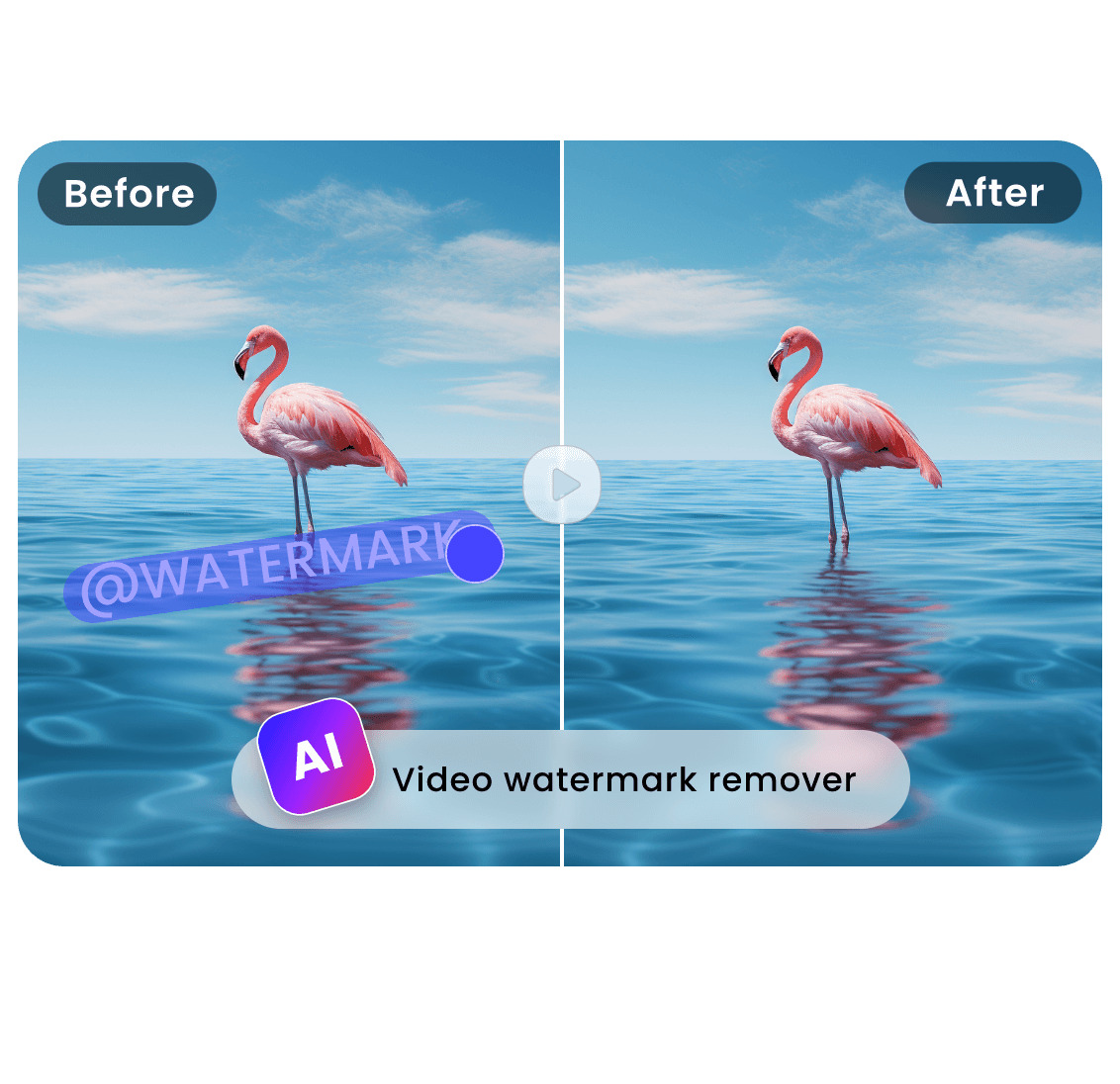 Remove Text From Video