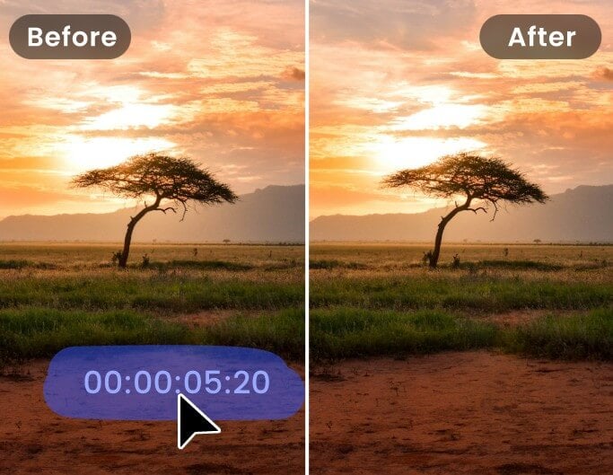 Remove Time and Date Stamps From Video
